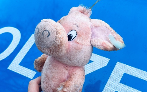 POL-HL: Zeugenaufruf: Welches Kind möchte vor Weihnachten Schwein haben? - Foto: presseportal.de