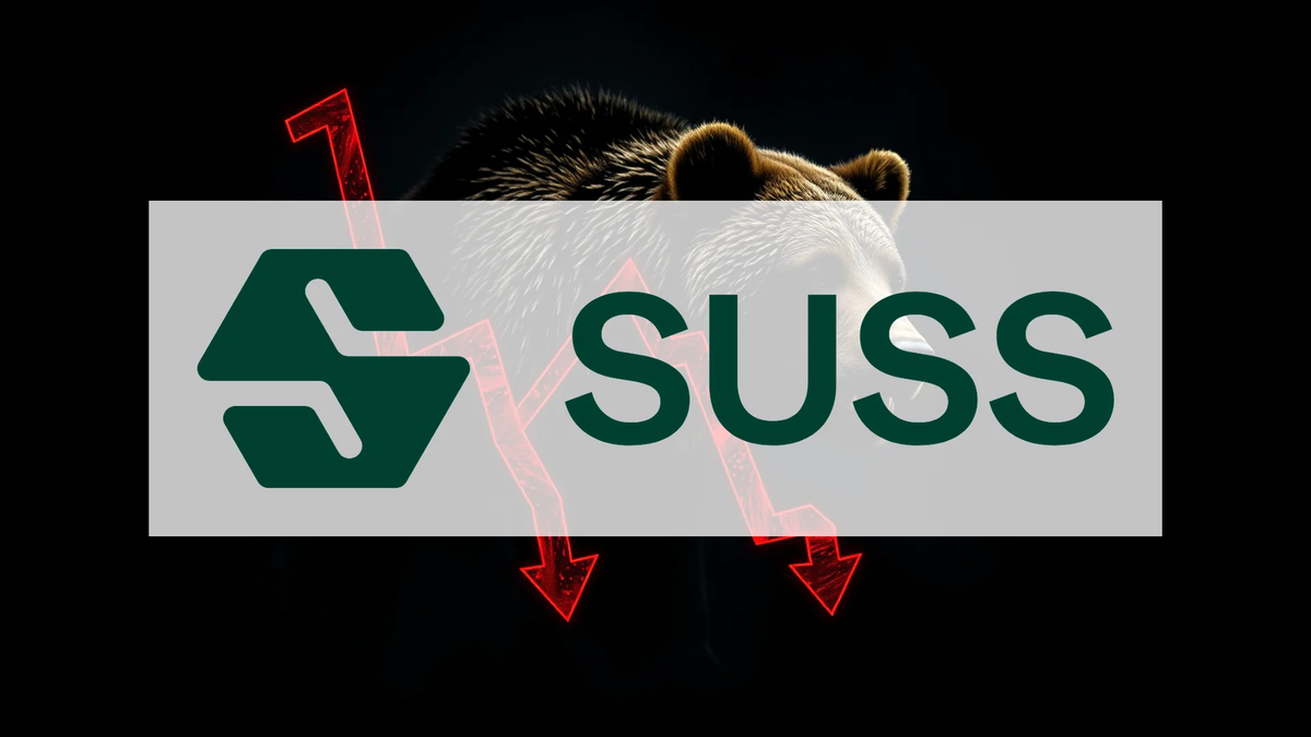 SÜSS MicroTec Aktie: Blitzwende nach Drama - Foto: über boerse-global.de