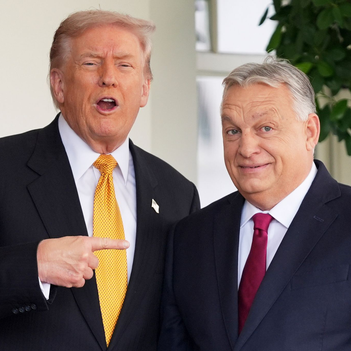 Trump setzt in Europa auf Politiker wie den ungarischen Regierungschef Viktor Orban. (Archivbild) - Foto: Evan Vucci/AP/dpa