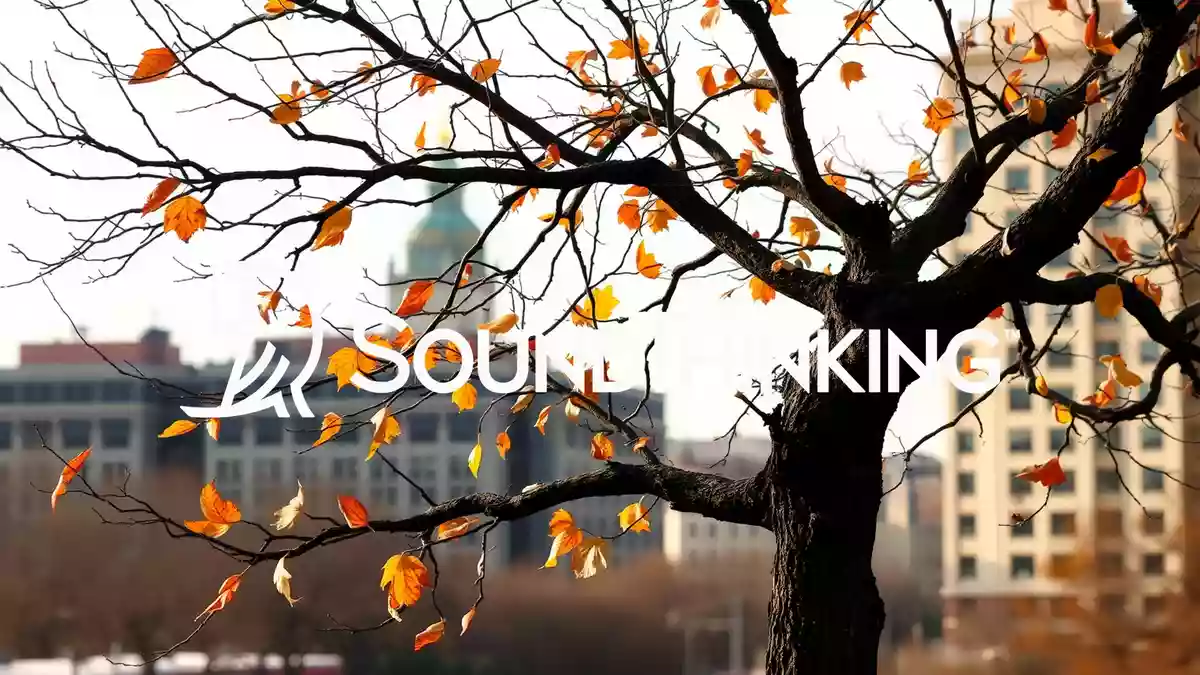 SoundThinking Aktie: Absturz nach Tacoma-Schock Illustration mit AI erstellt.