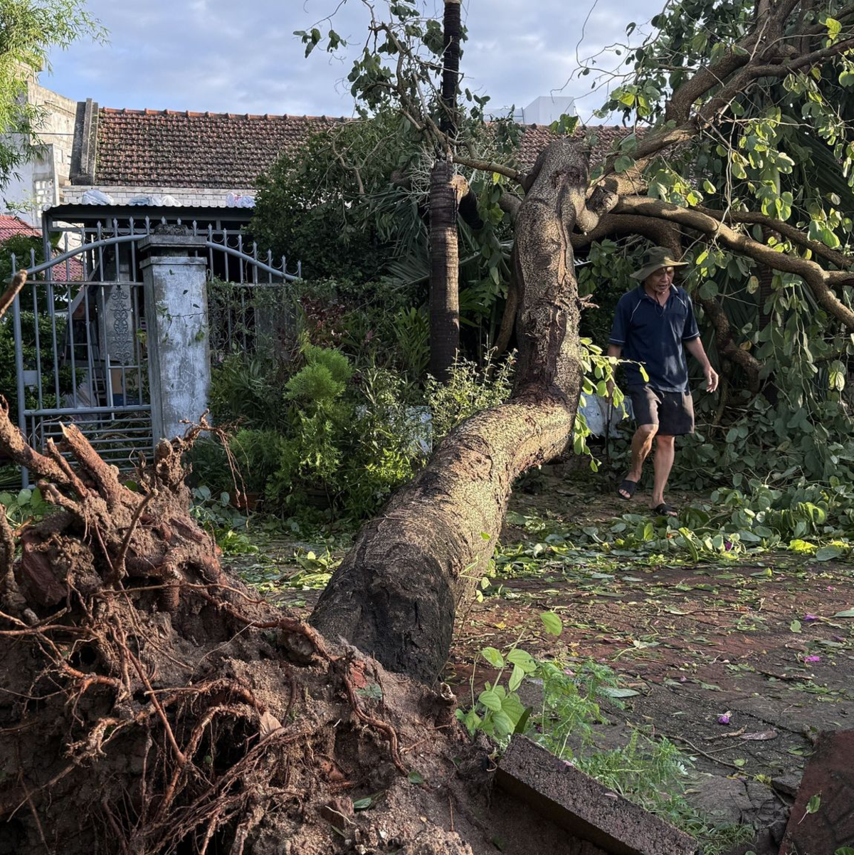 Es kam in Vietnam zu Stromausfällen, Bäume wurden entwurzelt, zudem wurden Flüge gestrichen. - Foto: Tuong Quan/Vietnam News Agency/AP/dpa