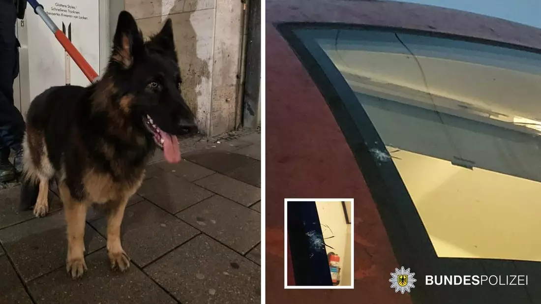 Bundespolizeidirektion München: Steinwürfe, Hund im Tunnel und Gewaltdelikte - Bild: presseportal.de