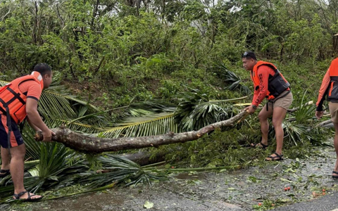 «Fung-Wong» sorgte bereits vor seiner Ankunft für umgestürzte Bäume und Tote. - Foto: Uncredited/PHILIPPINE COAST GUARD/AP/dpa