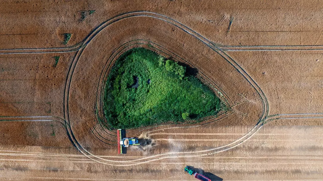 Die Agrarwirtschaft befürchtet, dass Landwirte künftig weniger EU-Geld bekommen. (Archivbild)  - Bild: Jens Büttner/dpa