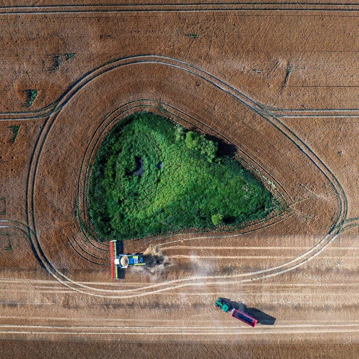 Die Agrarwirtschaft befürchtet, dass Landwirte künftig weniger EU-Geld bekommen. (Archivbild)  - Foto: Jens Büttner/dpa