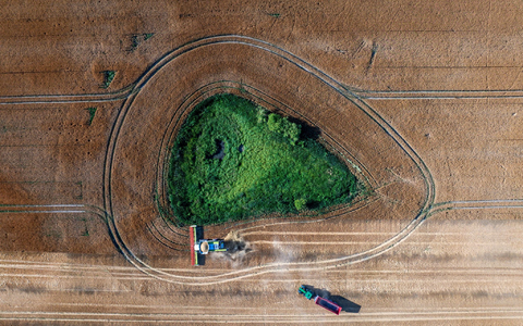 Die Agrarwirtschaft befürchtet, dass Landwirte künftig weniger EU-Geld bekommen. (Archivbild)  - Foto: Jens Büttner/dpa