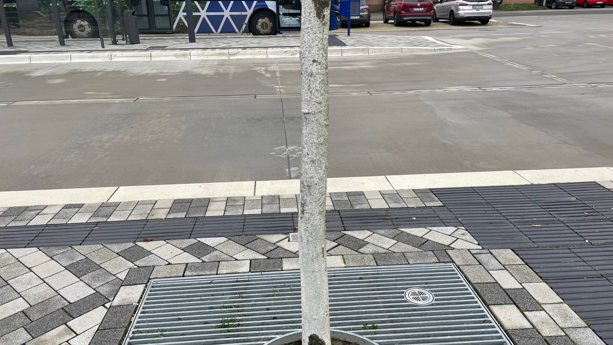 POL-PDTR: Beschädigung eines Baums am ZOB - Foto: presseportal.de