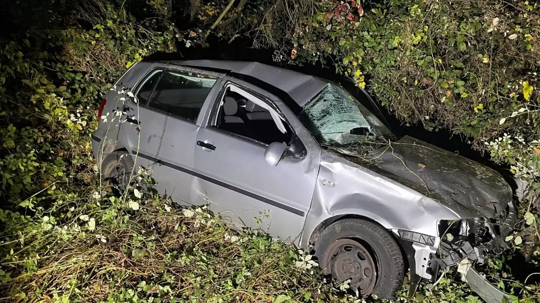 POL-PIROK: Alleinunfall mit verletzter Person infolge von Alkoholeinfluss - Bild: presseportal.de