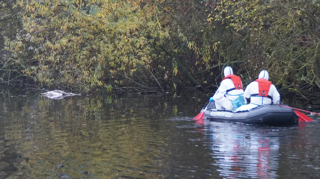 FW Wathlingen: Feuerwehr birgt verendete Schwäne aus Teich - Bild: presseportal.de