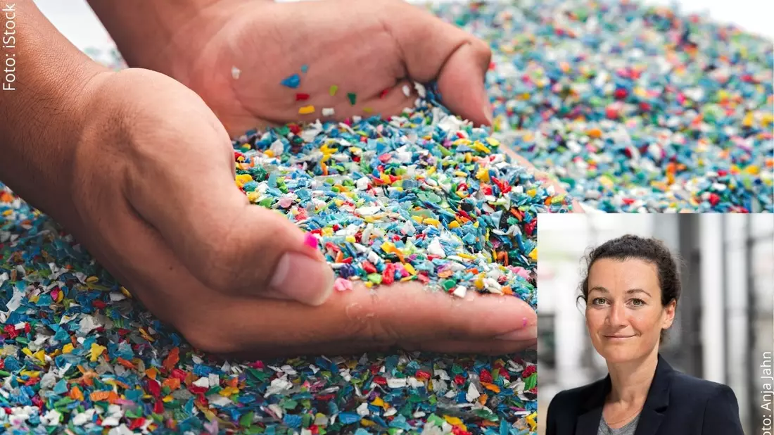 Mikroplastik im Fisch: Studie entwarnt - Risiko geringer als gedacht / Interview mit Ökotoxikologin Dr. Carolin Völker über neue Studienergebnisse - Bild: presseportal.de