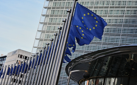 Die neue Einheit soll im Generalsekretariat der EU-Kommission angesiedelt werden, das der Präsidentin Ursula von der Leyen direkt unterstellt ist. (Archivbild) - Foto: Virginia Mayo/AP/dpa