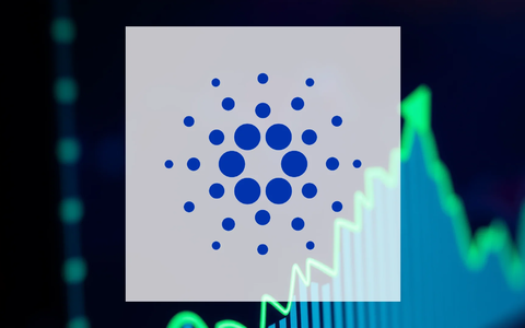 Major Cardano Investors Signal Confidence with Massive Accumulation - Foto: über boerse-global.de