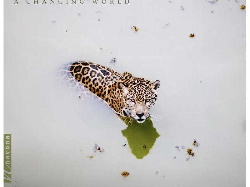 Cover: AMAZÔNIA - Foto: Parma Recordings über pressetext.de