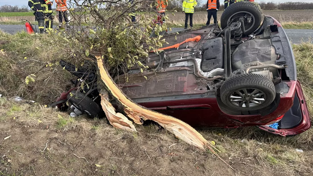 POL-HI: Eine verletzte Person und Totalschaden nach schwerem Baumunfall - Bild: presseportal.de