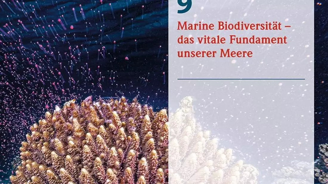 Marine Biodiversität - das vitale Fundament unserer Meere - Bild: presseportal.de