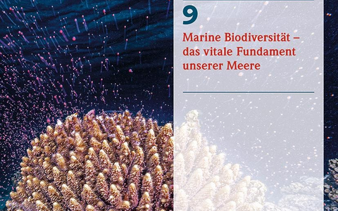 Marine Biodiversität - das vitale Fundament unserer Meere - Foto: presseportal.de