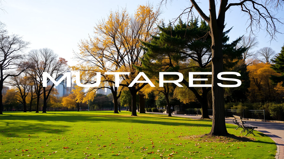 Mutares Aktie: Showdown! - Foto: über boerse-global.de