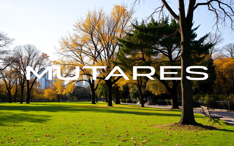 Mutares Aktie: Showdown! - Foto: über boerse-global.de