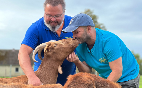 Besinnung, Umkehr und Gnade: ZDF-Programm zum Buß- und Bettag - Foto: presseportal.de