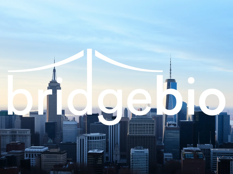 BridgeBio Pharma Aktie: Explosive Mischung! - Foto: über boerse-global.de