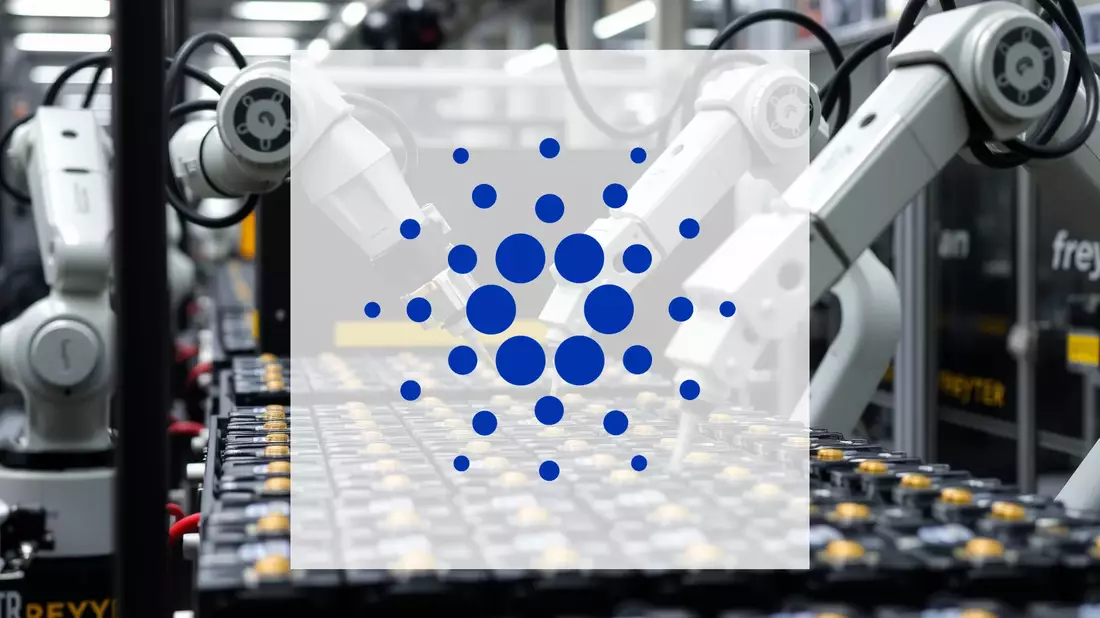 Major Cardano Investors Accumulate Billions Amid Market Downturn - Bild: über boerse-global.de