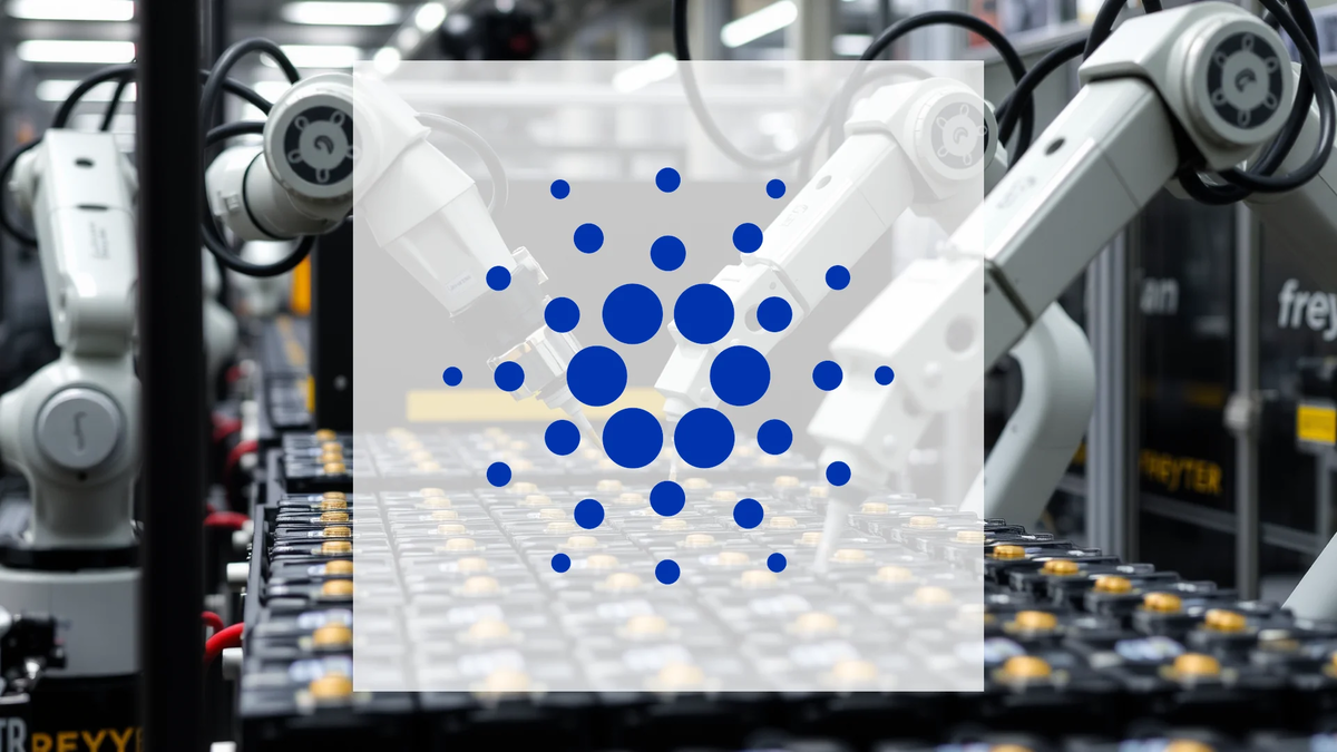 Major Cardano Investors Accumulate Billions Amid Market Downturn - Foto: über boerse-global.de