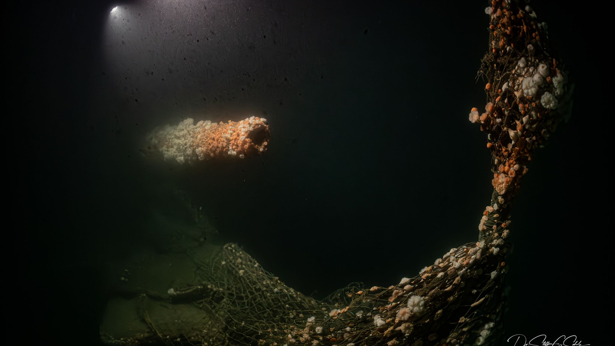 Beim Untergang am 11. März 1915 kamen fast 200 Seeleute ums Leben. - Foto: Dr. Steffen G. Scholz/ProjectXplore /dpa