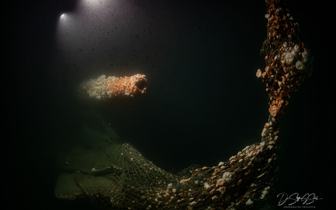 Beim Untergang am 11. MĂ€rz 1915 kamen fast 200 Seeleute ums Leben. - Foto: Dr. Steffen G. Scholz/ProjectXplore /dpa Beim Untergang am 11. MĂ€rz 1915 kamen fast 200 Seeleute ums Leben. - Foto: Dr. Steffen G. Scholz/ProjectXplore /dpa
