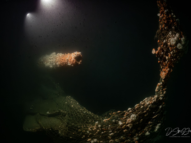 Beim Untergang am 11. März 1915 kamen fast 200 Seeleute ums Leben. - Foto: Dr. Steffen G. Scholz/ProjectXplore /dpa