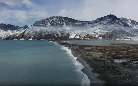 Das Virus wurde aber auch bei mehreren Säugetieren gefunden. - Foto: ---/British Antarctic Survey/dpa