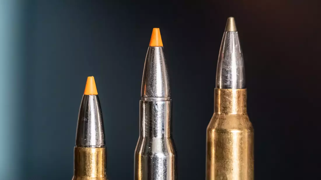 Jagdpatronen im Kaliber 308 Winchester (l-r), 30-06 Springfield und 300 Winchester Magnum stehen bei einem Jäger auf einem Waffenschrank. (Symbolbild) - Bild: Silas Stein/dpa