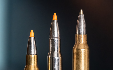 Jagdpatronen im Kaliber 308 Winchester (l-r), 30-06 Springfield und 300 Winchester Magnum stehen bei einem Jäger auf einem Waffenschrank. (Symbolbild) - Foto: Silas Stein/dpa