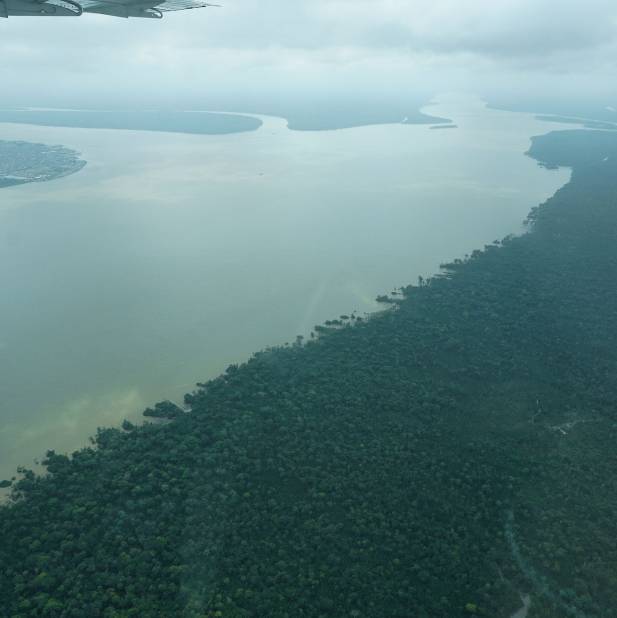 Hier ist der Wald intakt – doch an vielen Stellen ist er schon verloren. - Foto: Larissa Schwedes/dpa