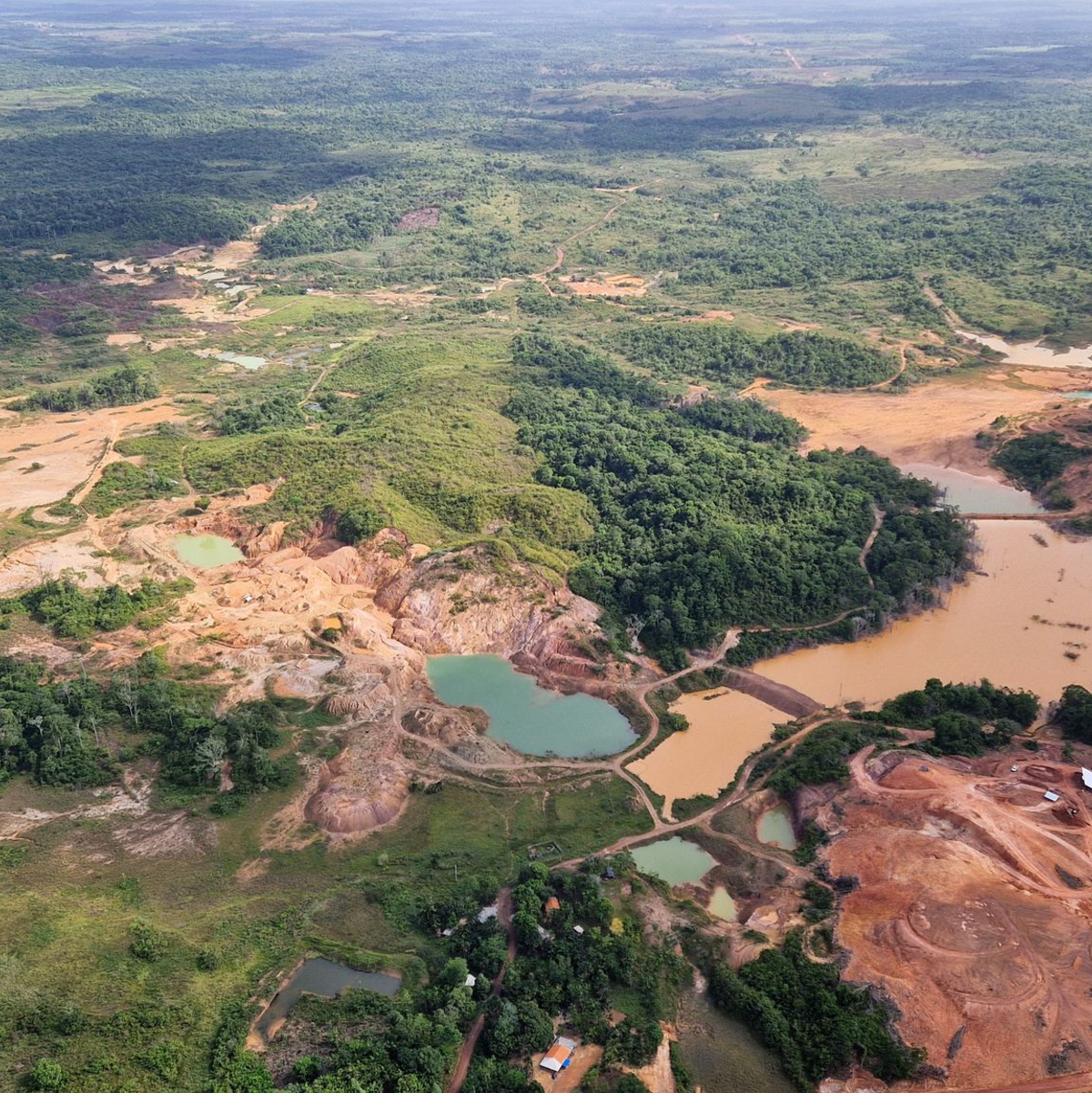 Neben legalen Goldminen machen sich Greenpeace zufolge oft illegale Goldgräber ans Werk. - Foto: Larissa Schwedes/dpa