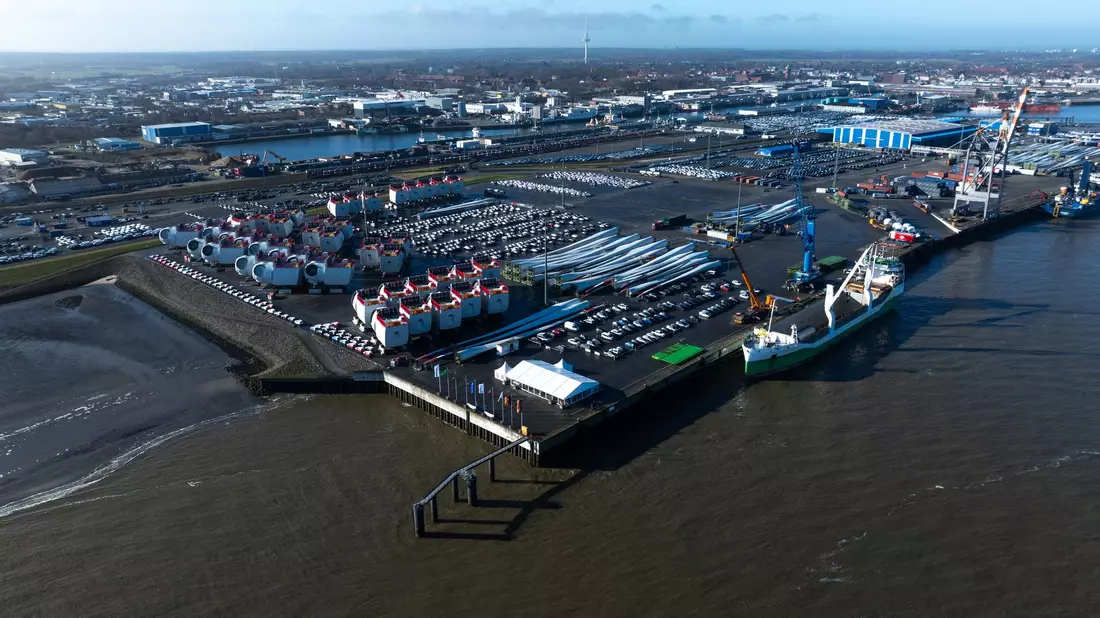 Im Hafen von Cuxhaven wurde ein toter Zwergwal entdeckt. (Symbolfoto) - Bild: Philipp Schulze/dpa
