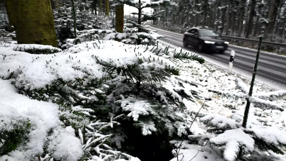 Nicht nur im Sauerland fielen zu Wochenbeginn erste Schneeflocken. - Bild: Federico Gambarini/dpa