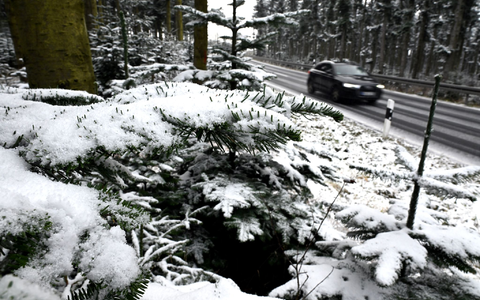 Nicht nur im Sauerland fielen zu Wochenbeginn erste Schneeflocken. - Foto: Federico Gambarini/dpa