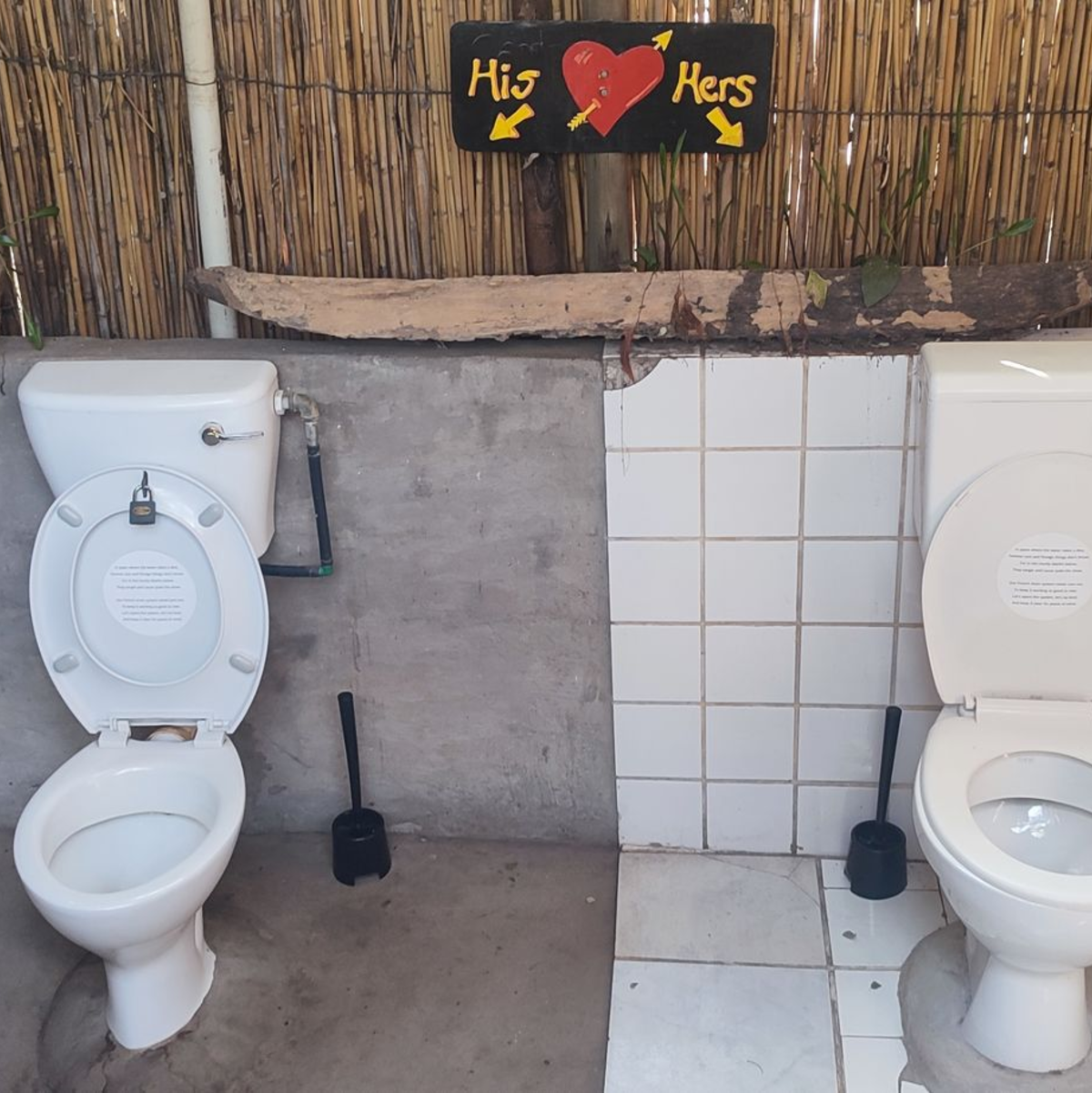 Im Ngepi-Camp in Namibia gibt es viele kuriose Toiletten, zur Freude der Touristen. (Archivbild) - Foto: Brian Walker/dpa