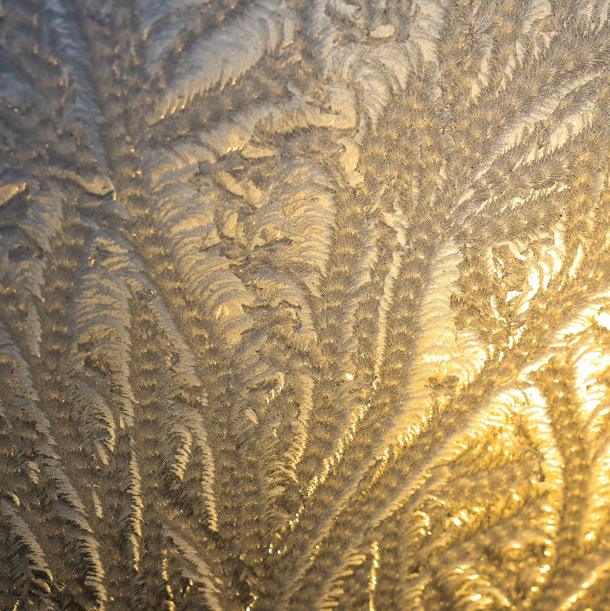 Es ist bereits frostig kalt in Deutschland. - Foto: Jan Woitas/dpa