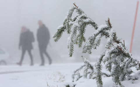 In den Mittelgebirgen wie dem Harz wird am Mittwoch Neuschnee erwartet. - Foto: Matthias Bein/dpa