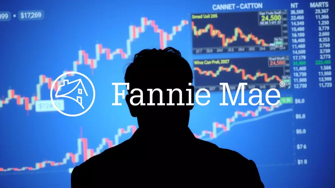 Fannie Mae’s Public Offering Plans Derailed by Prominent Investor - Bild: über boerse-global.de