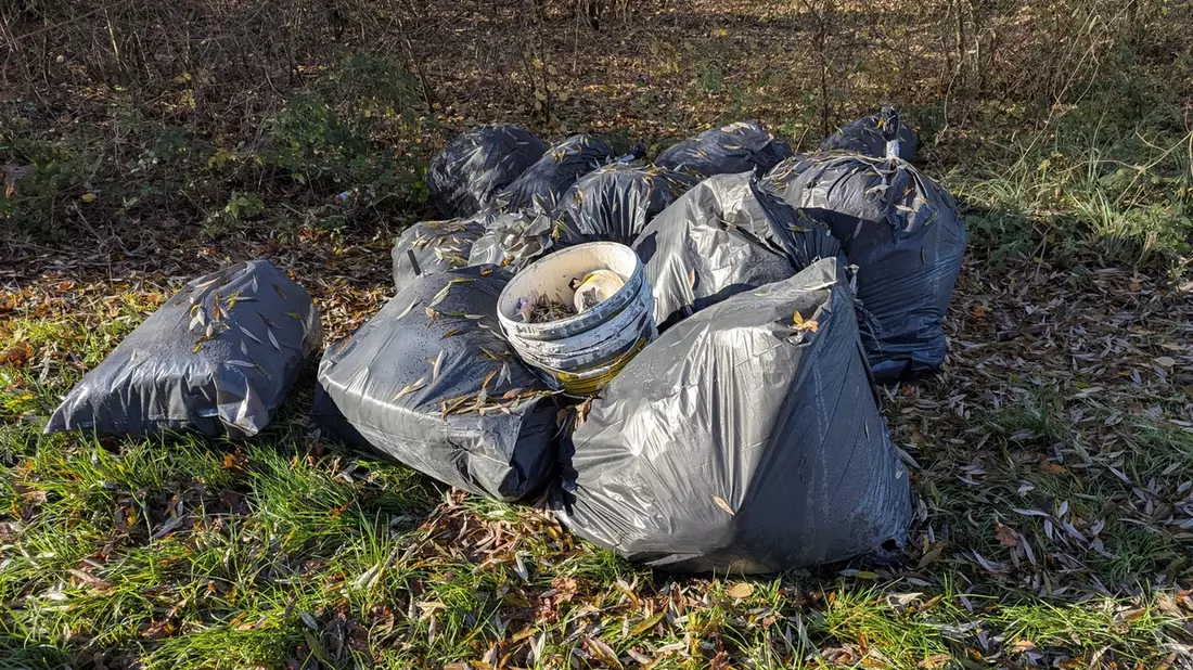 POL-OG: Niederschopfheim - illegale Müllbeseitigung, Zeugen gesucht - Bild: presseportal.de