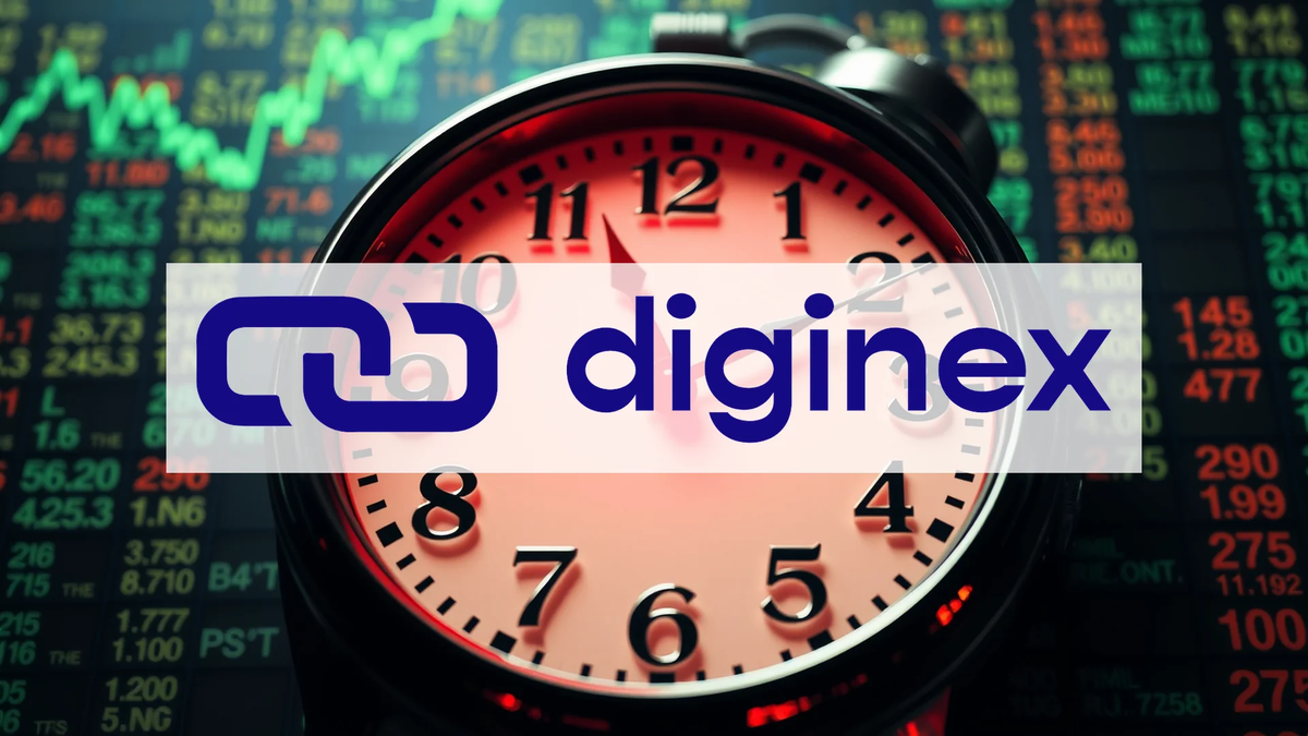 Diginex Shares Plunge as Rally Falters - Foto: über boerse-global.de