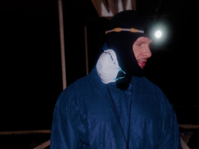 Ungewöhnliche Aktion: ANINOVA nimmt Fleischesser mit in eine Schweinemast - das Video geht viral - Foto: presseportal.de