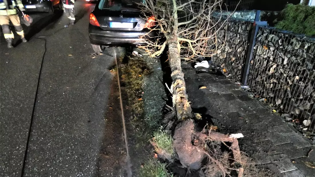 POL-HRO: Alkoholisierte Fahrerin prallt mit Pkw gegen Baum - Bild: presseportal.de