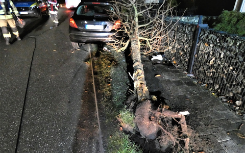 POL-HRO: Alkoholisierte Fahrerin prallt mit Pkw gegen Baum - Foto: presseportal.de