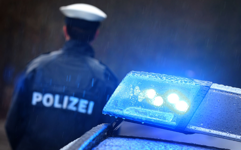 Die Forscher untersuchten 292 Fälle, die in die Polizeiliche Kriminalstatistik (PKS) eingegangen sind. (Symbolbild) - Foto: Karl-Josef Hildenbrand/dpa