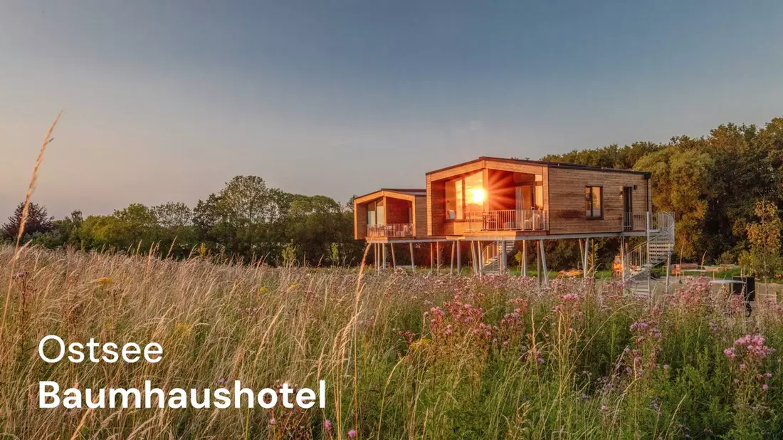 Ostsee Baumhaushotel schließt Ausbau ab: 14 Baumhäuser auf Höhe der Baumkronen starten in erste volle Saison 2026 - Bild: presseportal.de