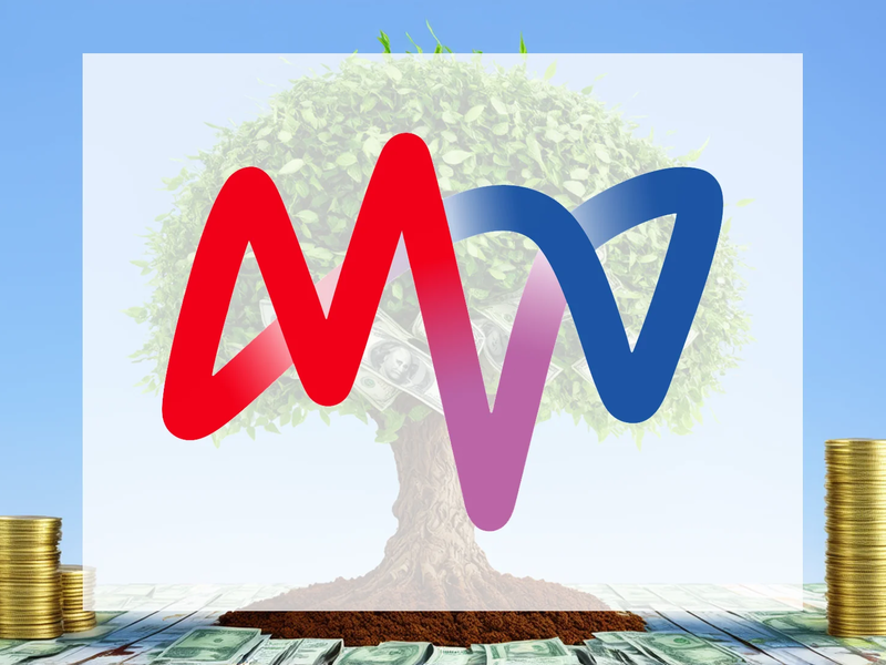 Mvv Energie Aktie: Kritische Entwicklungen? - Foto: über boerse-global.de