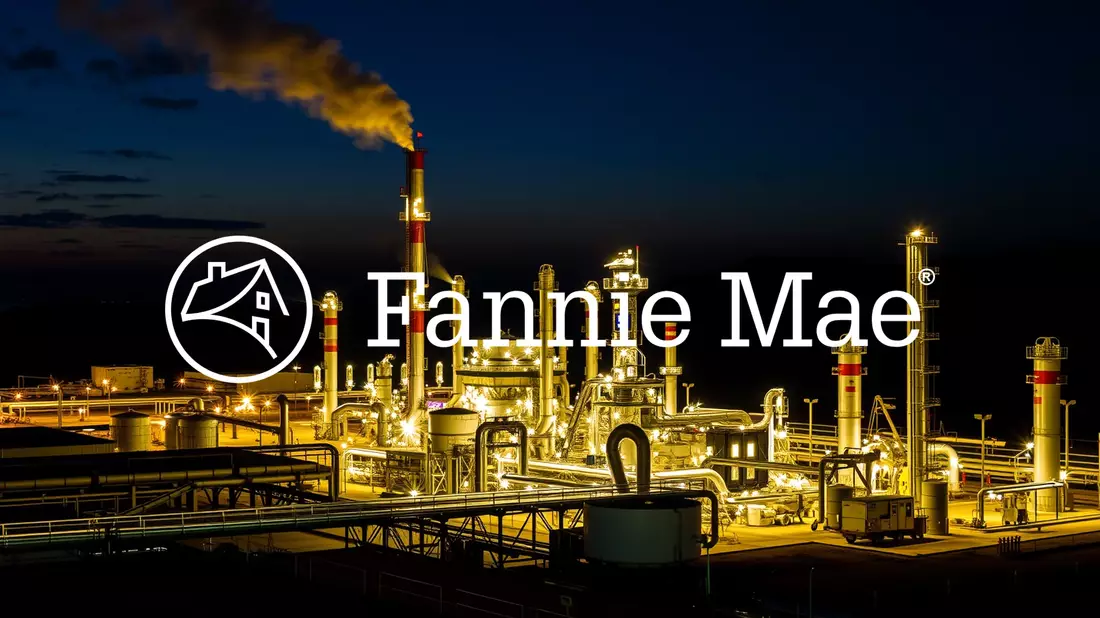 Fannie Mae Aktie: Überzeugende Ergebnisse - Bild: über boerse-global.de
